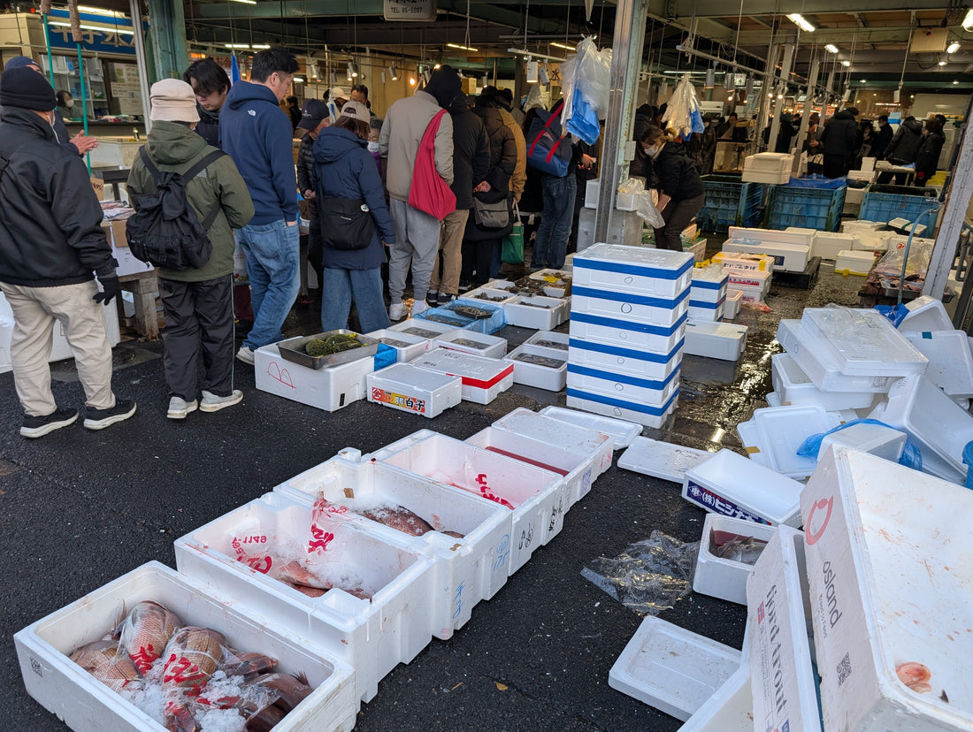 【松戸市】南部市場行ってきました